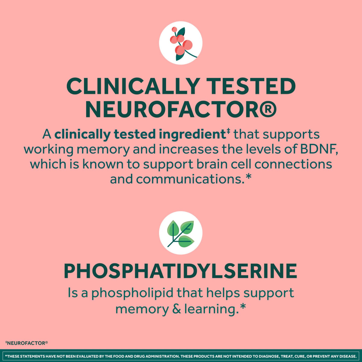 Neuriva Brain Performance, 45 ct.