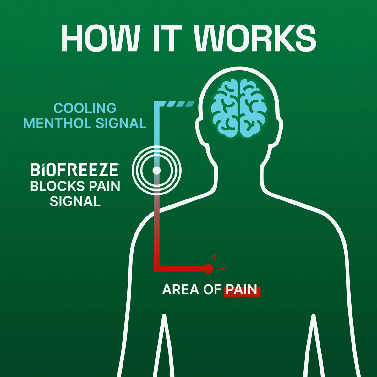 Biofreeze Large Patch, 15 ct.
