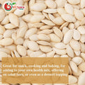 Pumpkin Seeds, Roasted, Unsalted, In-Shell Bulk Whole Snack by NY Spice 1Lb-5Lb
