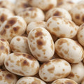 Jelly Belly Jelly Beans