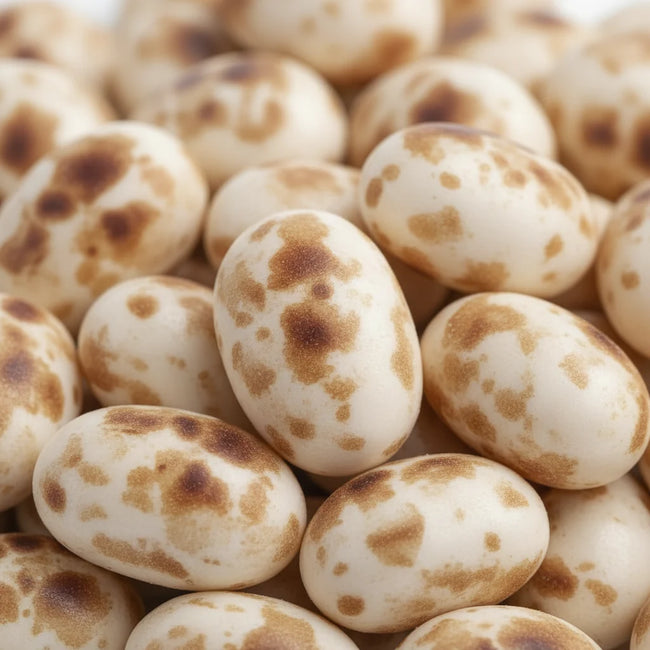Jelly Belly Jelly Beans