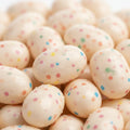 Jelly Belly Jelly Beans