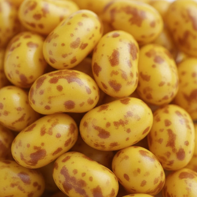 Jelly Belly Jelly Beans
