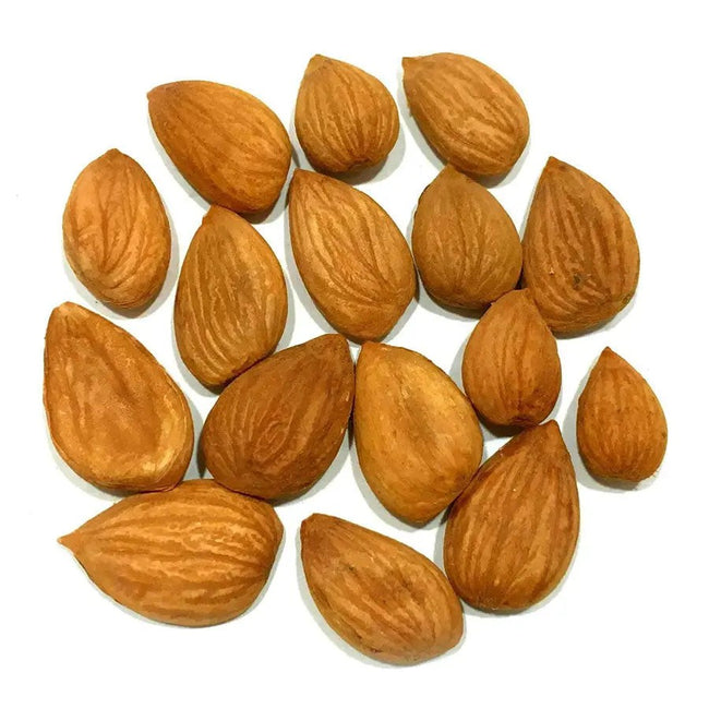 Apricot Kernels Raw Apricot Seeds Natural Gluten Free Premium Quality 8Oz-3Lb