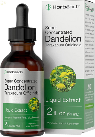 Dandelion Root Extract | 2 Fl Oz | Super Concentrated | Alcohol Free Liquid Tincture | Vegetarian, Non-Gmo, Gluten Free | by