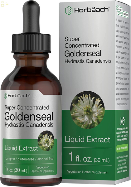 Goldenseal Root Extract Liquid | 1 Fl Oz Tincture | Super Concentrated | Alcohol Free | Vegetarian, Non-Gmo, Gluten Free | by