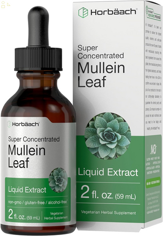 Mullein Leaf Tincture Drops | 2 Fl Oz | Alcohol Free Liquid Extract | Vegetarian, Non-Gmo & Gluten Free Herbal Supplement | by