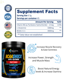 BCAA Essential Amino Energy Pre & Post Workout Powder - Try All 4 Flavors