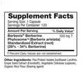 FEELGOOD Berberine Phytosome, 120 Vegan Capsules