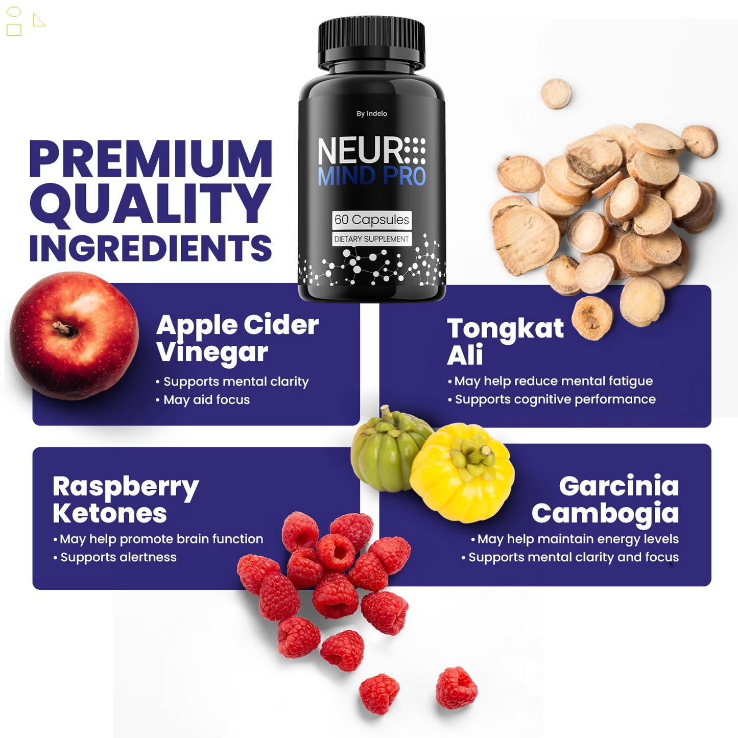 Neuro Mind Pro Capsules – Neuromind Pro Natural Blend Memory Focus Support Supplement, 1 Pack, 60 Capsules
