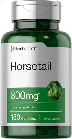 Horsetail Capsules 800Mg | 180 Count | Non-Gmo, Gluten Free Herb Supplement | by