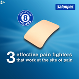 2 Pack Salonpas Pain Relieving Patch, 140 Patches each  | Pain Relief